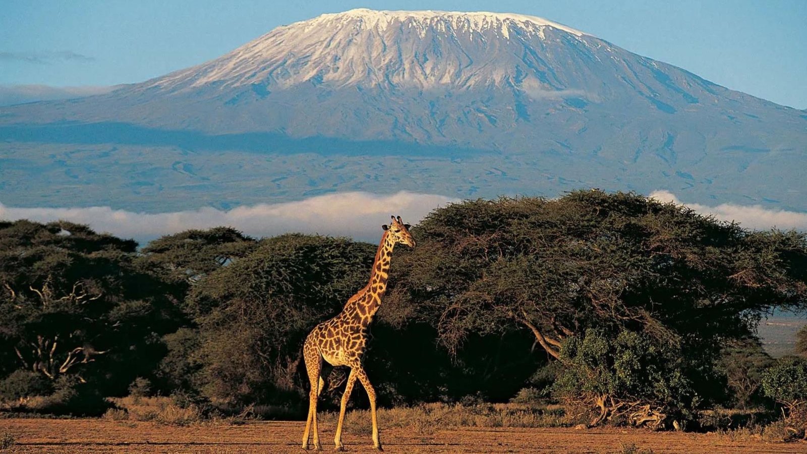 Mount Kilimanjalo, one of the best travel destinations around the world